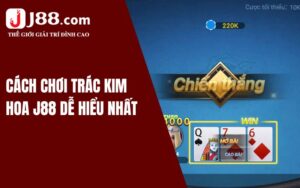 Cách chơi Trác Kim Hoa đơn giản dễ hiểu